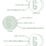 Bambaw_weganskie_mydlo_do_golenia_morela_80g_7.png
