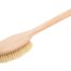 Brista_szczotka_do_mycia_i_masazu_ciala_z_wlosiem_z_kaktusa_agawy_z_raczka_Simple1-2.jpg