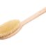 Brista_szczotka_do_mycia_i_masazu_ciala_z_wlosiem_z_kaktusa_agawy_z_raczka_Simple2.jpg