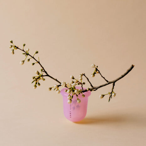 Easy_Livin_Antycellulitowa_banka_silikonowa_do_masazu_ciala_4.jpg Easy_Livin_Antycellulitowa_banka_silikonowa_do_masazu_ciala_4.jpg