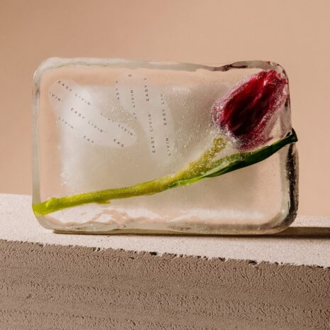 Easy_Livin_Easy_Eye_Pads_Wielorazowe_platki_pod_oczy_z_silikonu_6.jpg Easy_Livin_Easy_Eye_Pads_Wielorazowe_platki_pod_oczy_z_silikonu_6.jpg