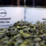 La-Le_dezodorant_Green_Tea_120ml_1.jpg