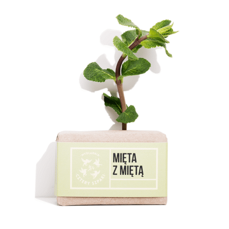 Mydlarnia_Cztery_Szpaki_mydlo_mieta_z_mieta_110g_2.png Mydlarnia_Cztery_Szpaki_mydlo_mieta_z_mieta_110g_2.png