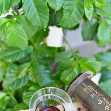 Precise_Brew_filtr_wielorazowy_Aeropress_20_um_25_um_Impulse_10.jpg Precise_Brew_filtr_wielorazowy_Aeropress_20_um_25_um_Impulse_10.jpg