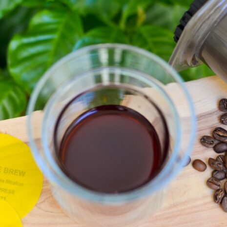 Precise_Brew_filtr_wielorazowy_Aeropress_20_um_25_um_Impulse_9.jpg Precise_Brew_filtr_wielorazowy_Aeropress_20_um_25_um_Impulse_9.jpg