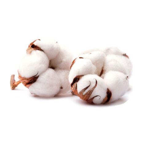 Vivicot_BIO_tampony_higieniczne_REGULAR_z_aplikatorem_z_organicznej_bawelny_niebielone_chlorem_kompostowalne_16_sztuk_7.jpeg Vivicot_BIO_tampony_higieniczne_REGULAR_z_aplikatorem_z_organicznej_bawelny_niebielone_chlorem_kompostowalne_16_sztuk_7.jpeg